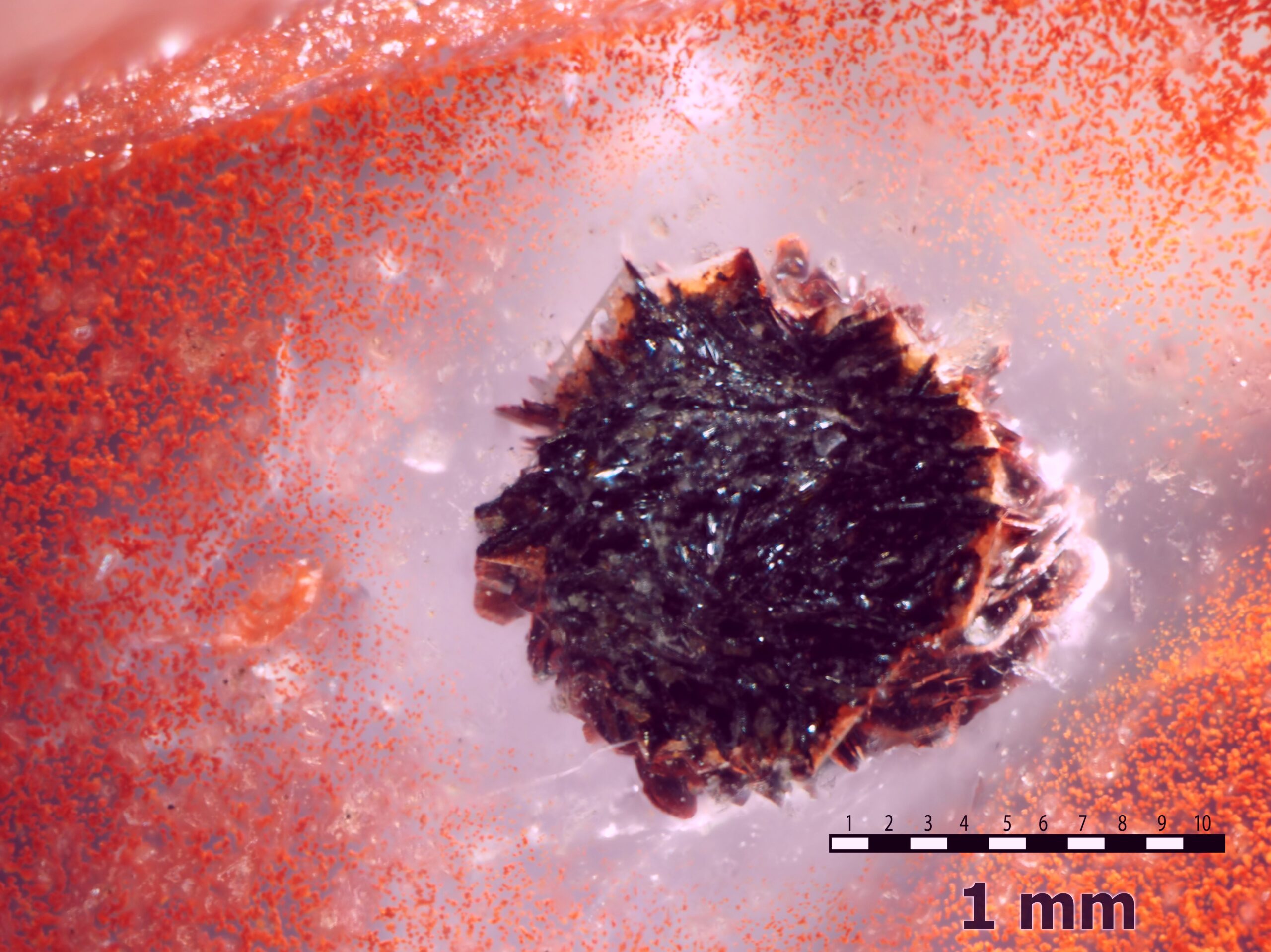 Geomaterial- und Edelsteinforschung  Geowissenschaften Mainz